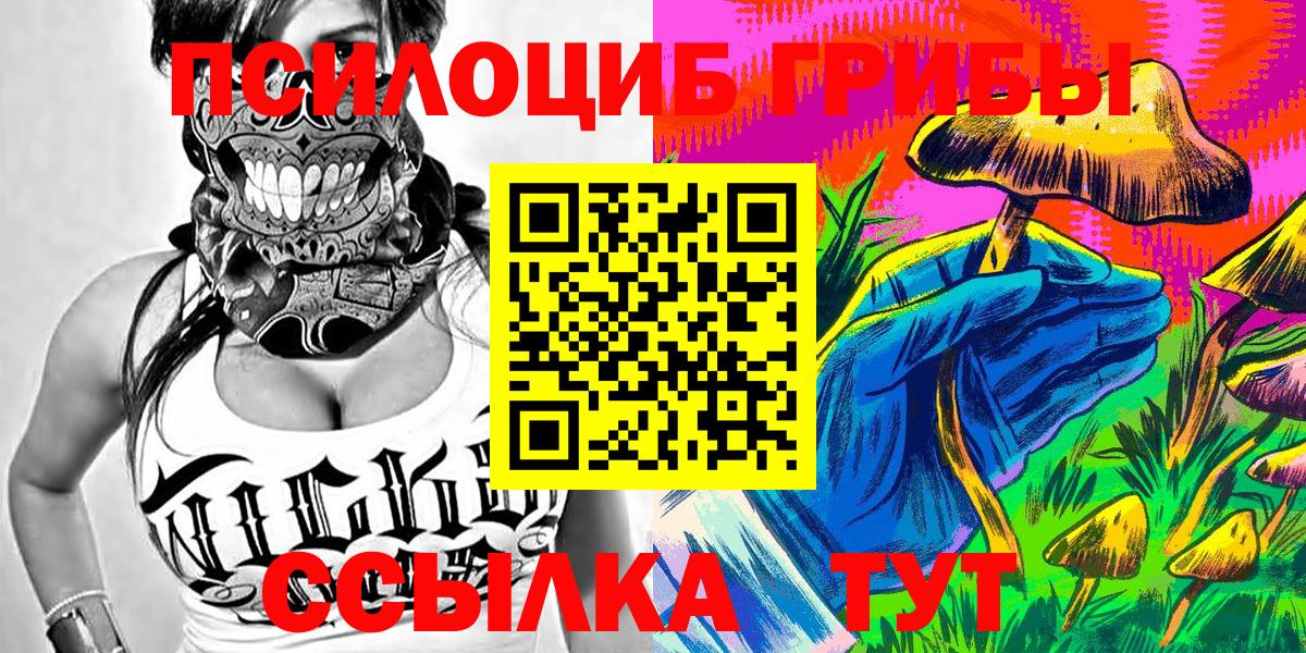Псилоцибиновые грибы прущие грибы Железногорск