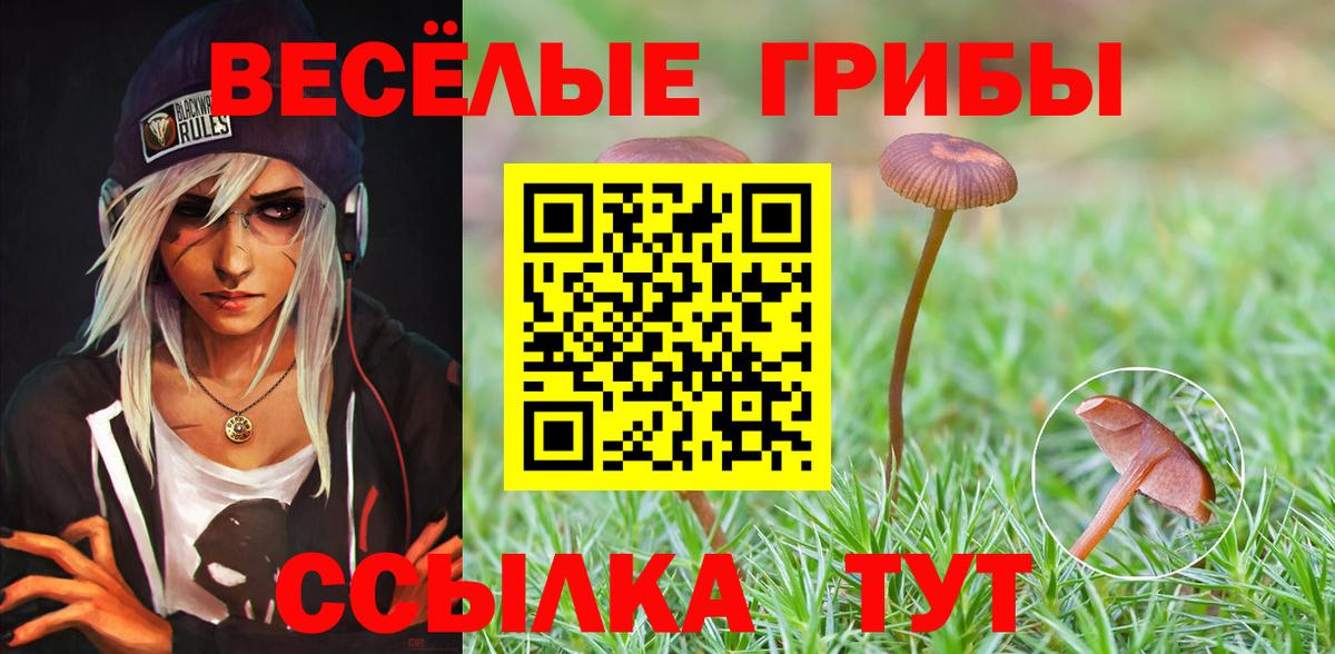 Галлюциногенные грибы Magic Shrooms  Вход с VPN  Железногорск 